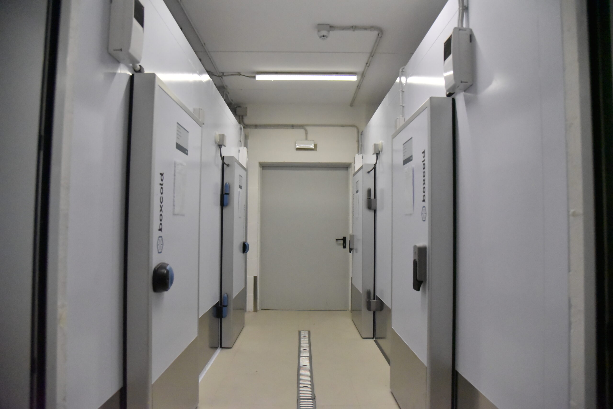 Sicurezza Celle Frigorifere